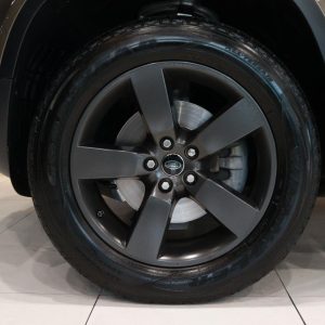 WhatsApp Image 2026-02-07 at 18.52.34