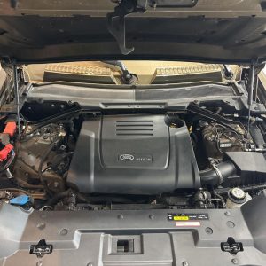 WhatsApp Image 2026-02-07 at 18.52.37 (2)