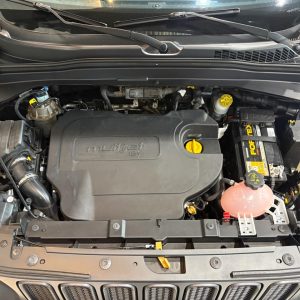 WhatsApp Image 2026-02-17 at 12.59.21