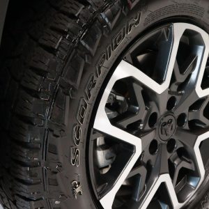 WhatsApp Image 2026-02-19 at 15.56.25 (4)