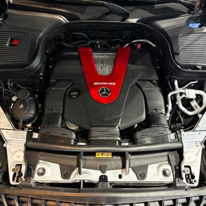 WhatsApp Image 2026-02-25 at 16.04.58 (2)