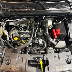 WhatsApp Image 2026-02-25 at 18.15.02 (1)