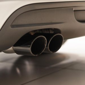 WhatsApp Image 2026-02-27 at 15.31.21 (4)